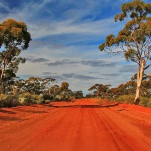Red dust outback road. Ford, D. (2021) Australian Outback Red Dust [Photograph]. Cutloose Adventure. https://cutlooseadventure.com/australian-outback-adventure/ 
