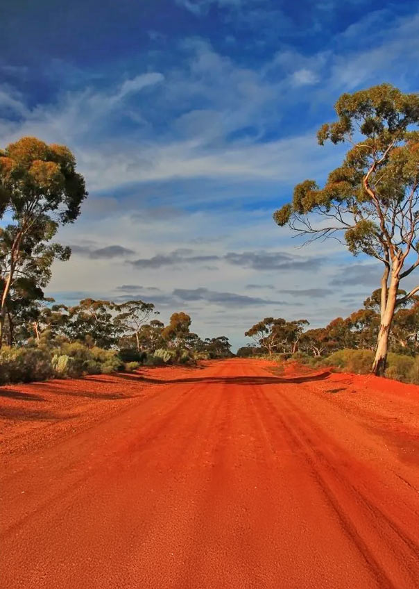 Red dust outback road. Ford, D. (2021) Australian Outback Red Dust [Photograph]. Cutloose Adventure. https://cutlooseadventure.com/australian-outback-adventure/ 