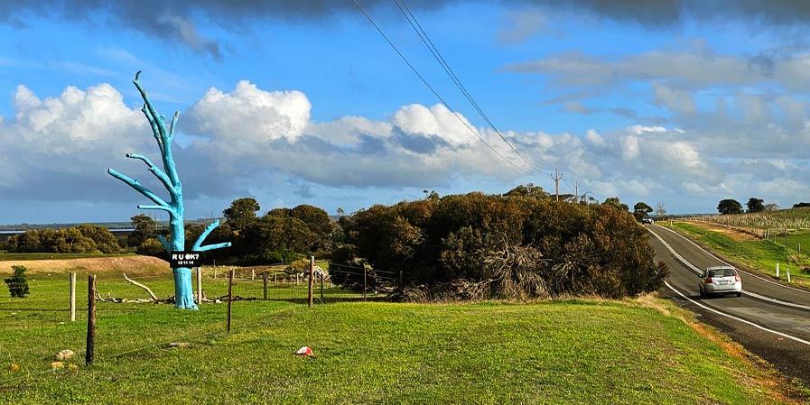 Painted tree beside a rural road on Norfolk Island.