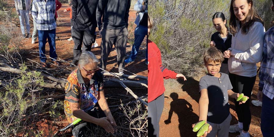 left mature woman digging for bush tucker Right: Young boy with bush tucker
