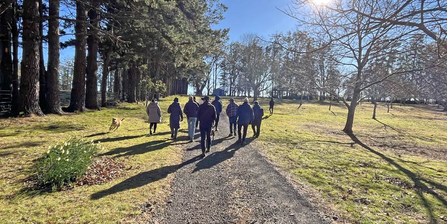 Group of people walking on a wooded property